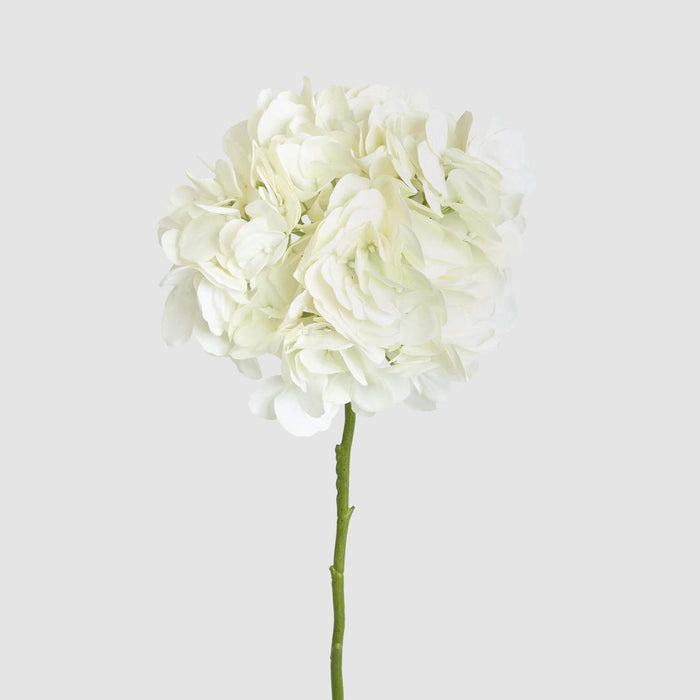 Hydrangea Soft Touch Stem 75cm Cream