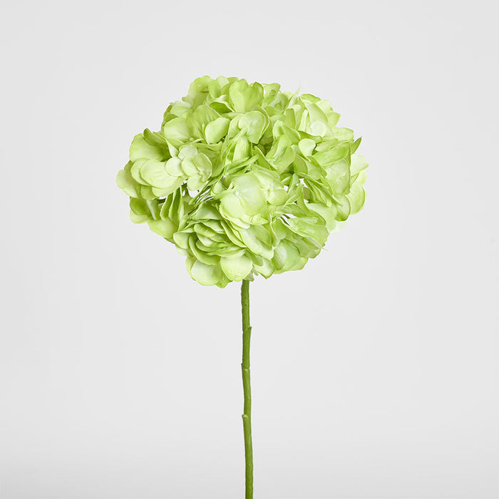 Hydrangea Soft Touch Stem 75cm Green