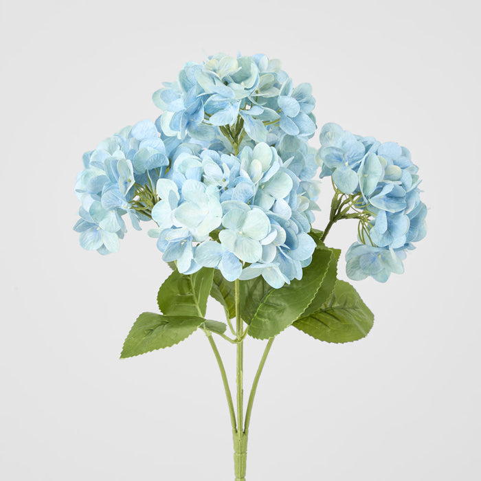 Hydrangea Fresh Touch Bunch Blue