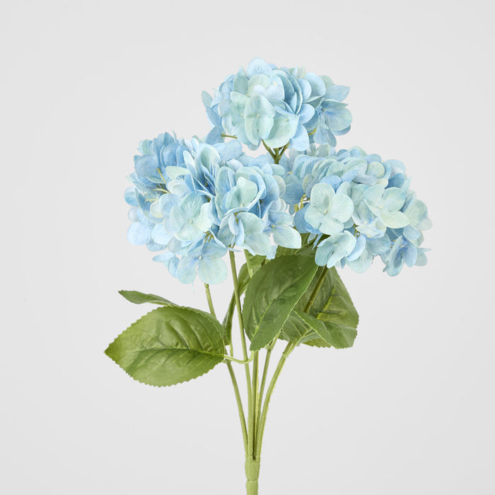 Hydrangea Fresh Touch Bunch Blue