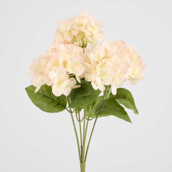Hydrangea Fresh Touch Bunch Light Pink