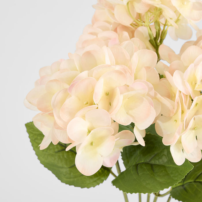 Hydrangea Fresh Touch Bunch Light Pink