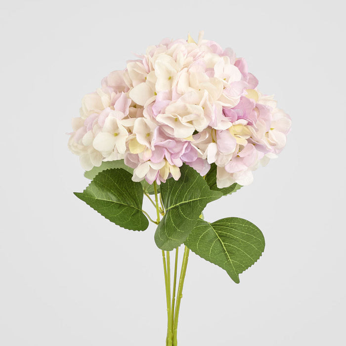 Hydrangea Yasmin Bunch Pink