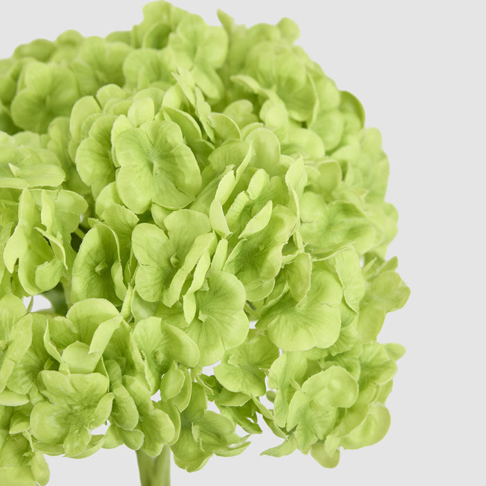 Hydrangea Real Touch Mini Posy Green
