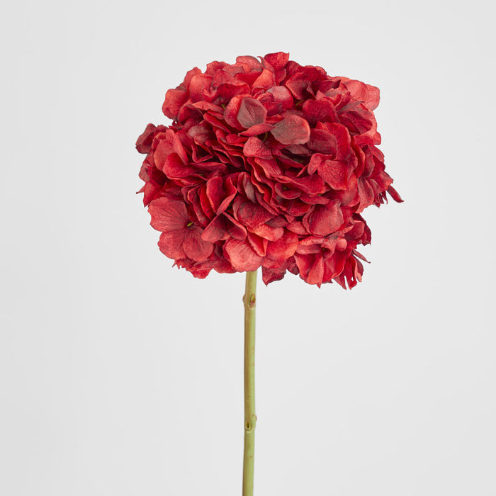 Hydrangea Ball Head Stem 48cm Red