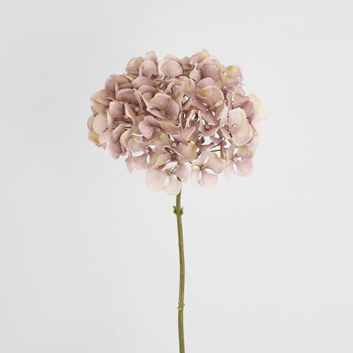 Hydrangea Mauve 72cm