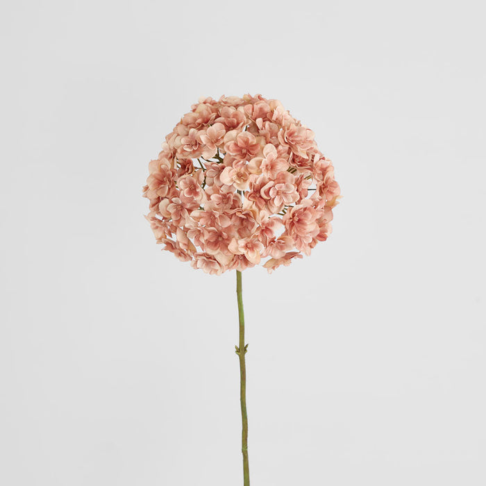 Hydrangea Coral 74cm