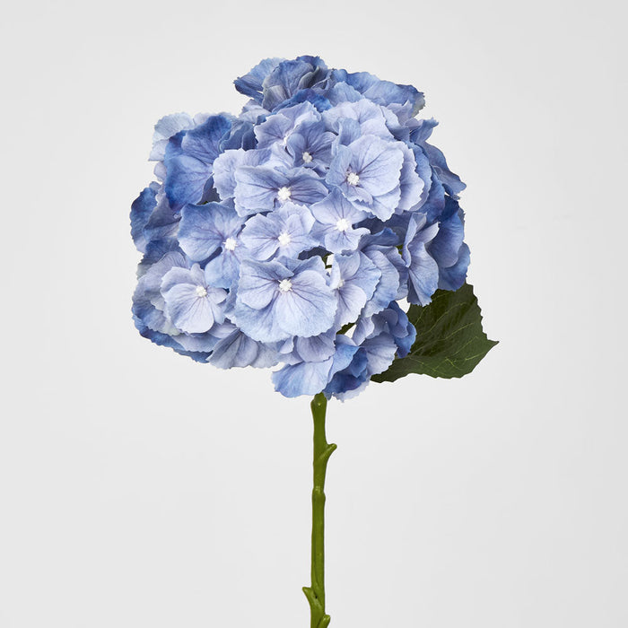 Hydrangea Susan Soft Touch Blue 52cm 6 pcs