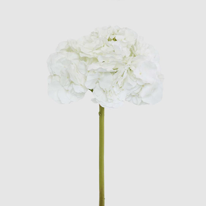 Hydrangea 50cm Snow White