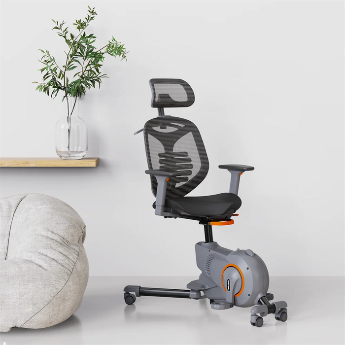 Chair stationary bike online