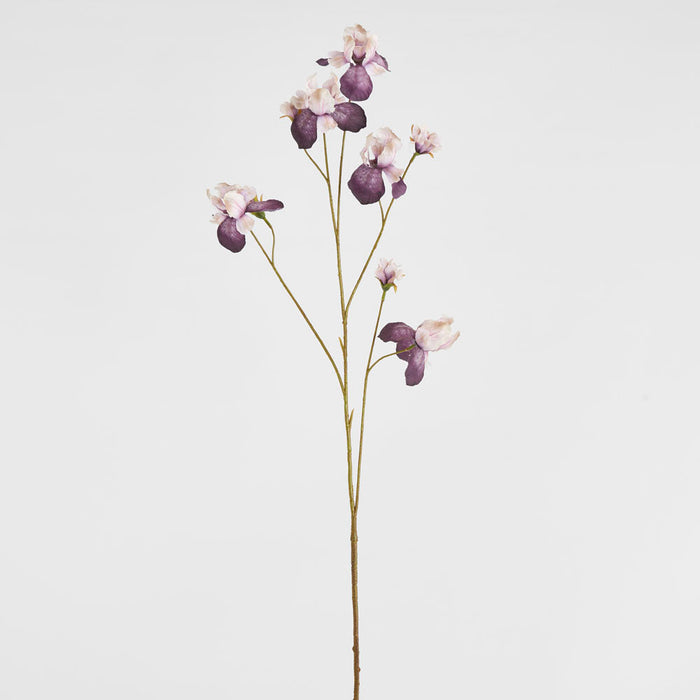 Iris Purple 94cm