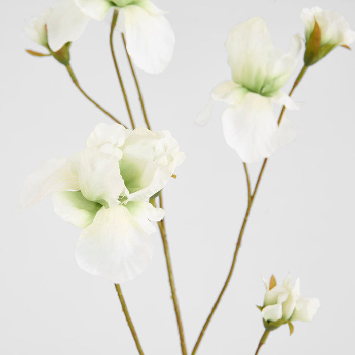 Iris White 94cm
