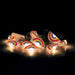 NSIMG-SHA256:5f30c0b201a0973fc4981ffb6af2bdcd728c0b738c742aa9c812c63755bf7bc7 · Isalbi Discovery Zone Illuminate String Lights - Rainbow