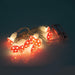 NSIMG-SHA256:6a4c3431c5683b10d242398d1cfe50a97f1401a6290be6773e23ec4f5502bdac · Isalbi Discovery Zone Illuminate String Lights - Toadstools