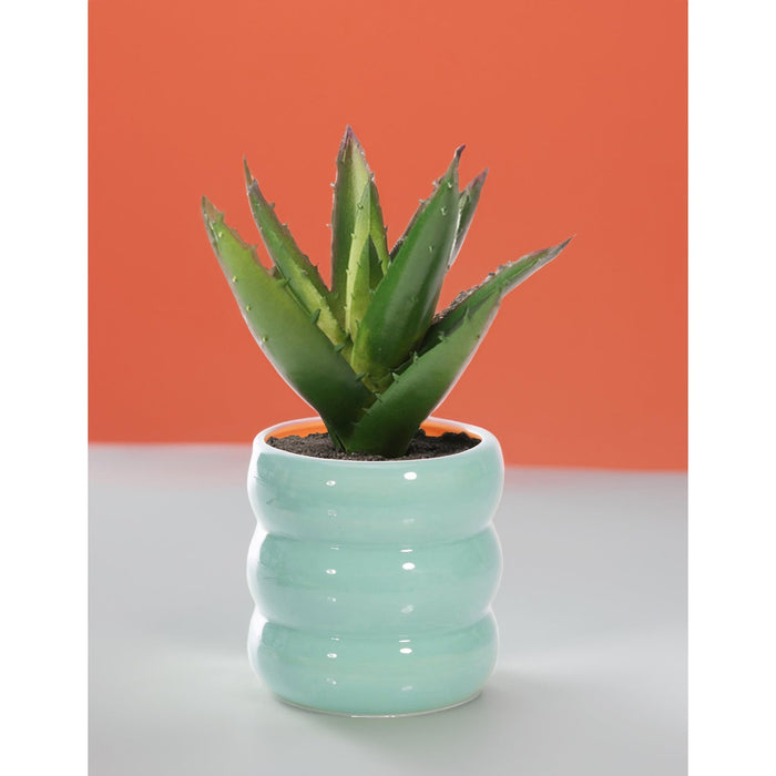 NSIMG-SHA256:481a3afa87697222c7cb8fba230406ab64170cc267544b421db556df21bccc18 · Isalbi isGift Happy Mondays Plant Pot 2 Assorted