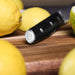 NSIMG-SHA256:5bf4eeb110706a233559dd970ab528ccfc9ec5ebb343feeedb7f7b9e47fe760d · Isalbi MasterChef Performance Procut Utility Knife Black & Stainless Steel