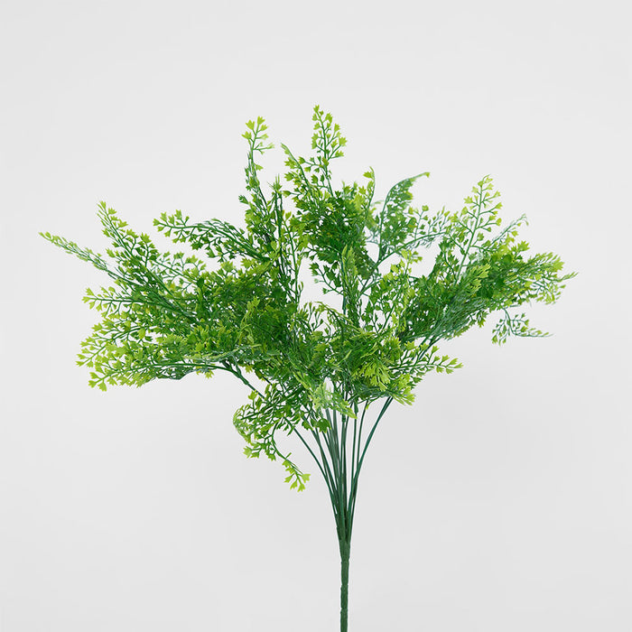 Maidenhair Fern Bush 3 pcs