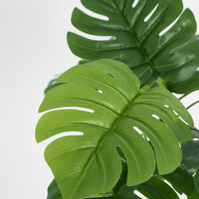 Philo Split Leaf Bush set of 2