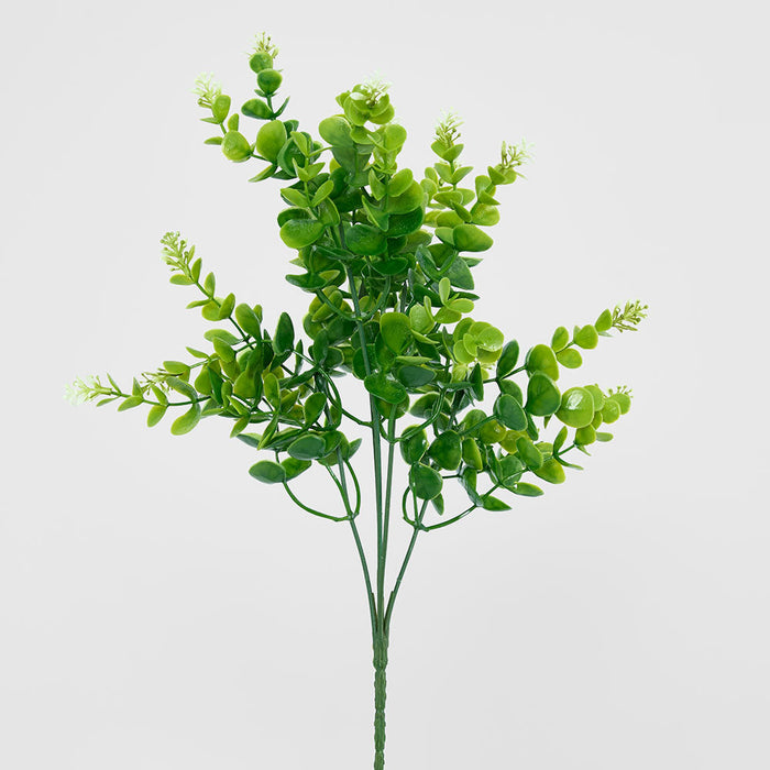 Flowering Eucalyptus Bush 2 pcs