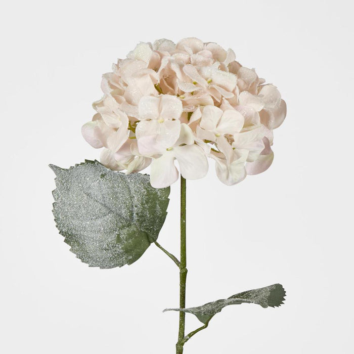 Snow Covered Pink Christmas Hydrangea with 2 Leaves 6 pcs