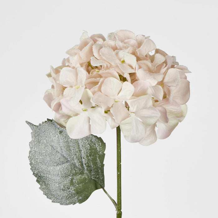 Snow Covered Pink Christmas Hydrangea with 2 Leaves 6 pcs