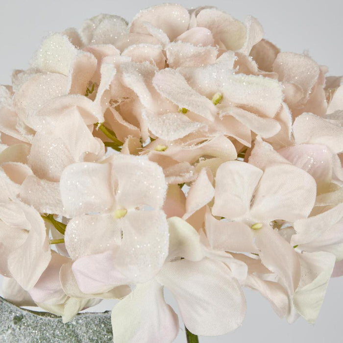 Snow Covered Pink Christmas Hydrangea with 2 Leaves 6 pcs