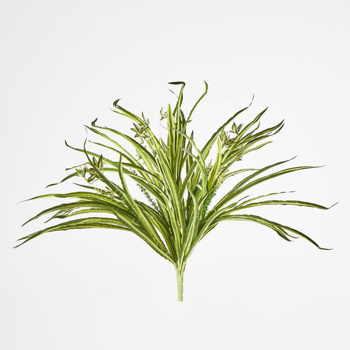 Spider Plant Real Touch