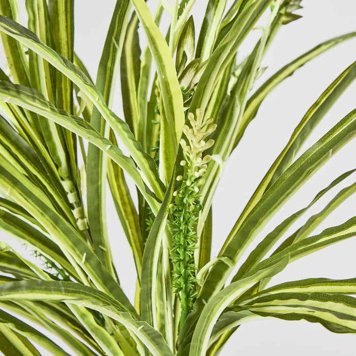 Spider Plant Real Touch
