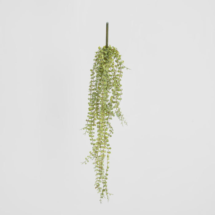 Hanging Button Fern Vine 56cm 12 pcs
