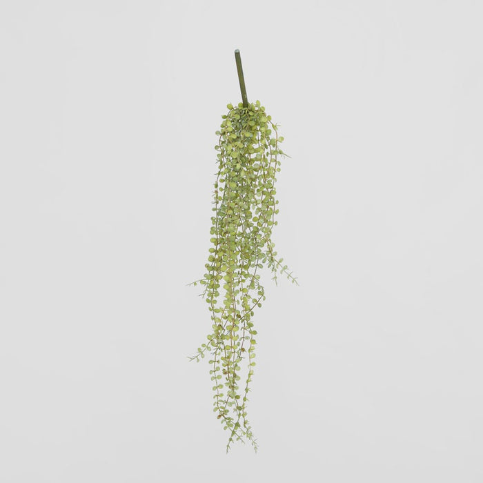 Hanging Button Fern Vine 56cm 12 pcs