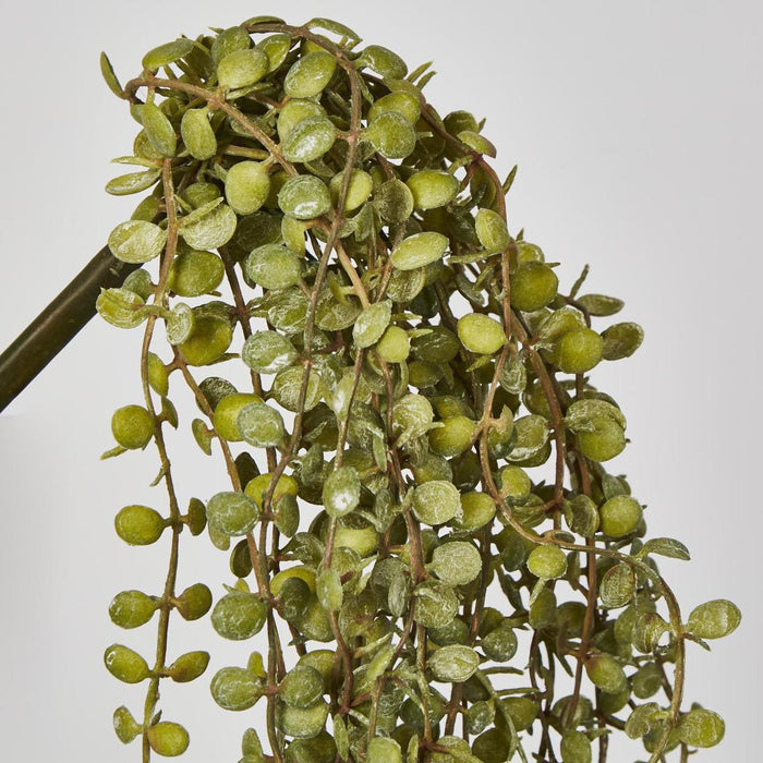 Hanging Button Fern Vine 56cm 12 pcs