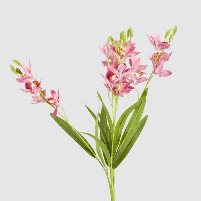 Cymbidium Spray With Leaves Dark Pink