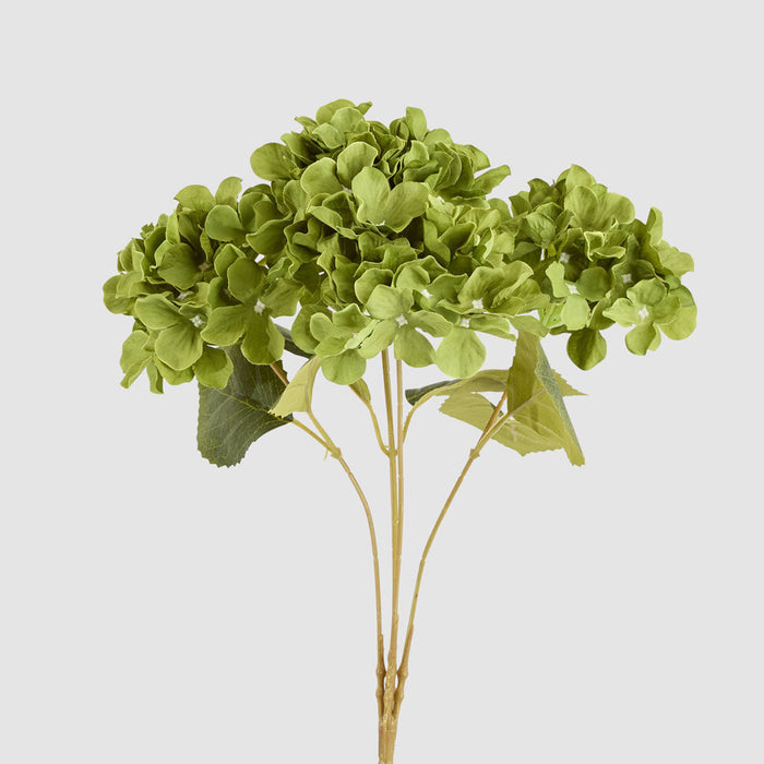 Hydrangea Bunch With 5 Heads Green