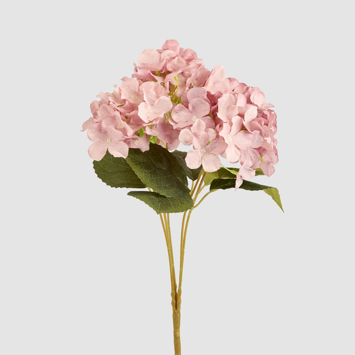 Hydrangea Bunch With 5 Heads Pink