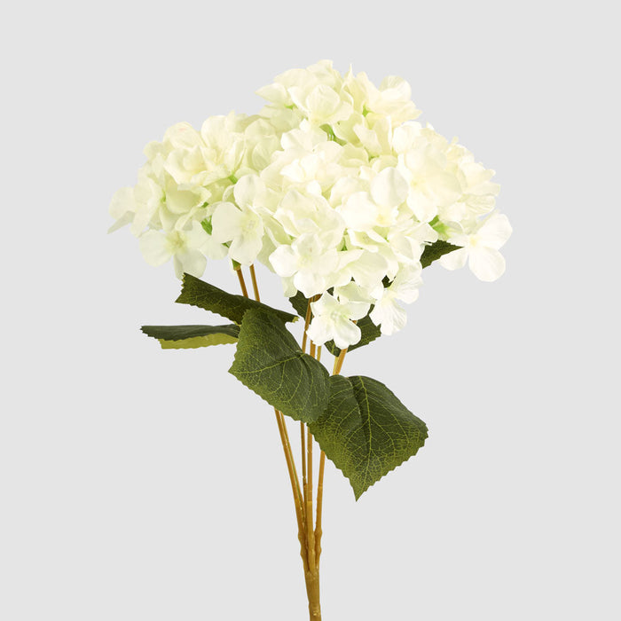 Hydrangea Bunch With 5 Heads White