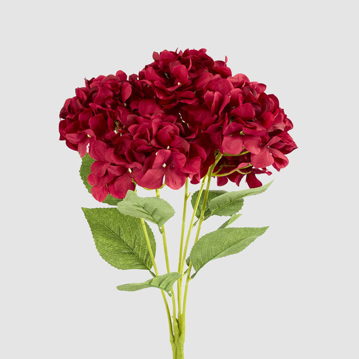 Hydrangea Large Bunch Burgundy