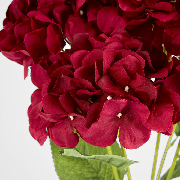 Hydrangea Large Bunch Burgundy