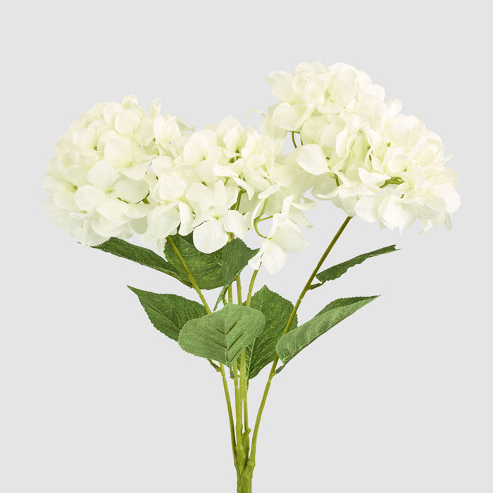 Hydrangea Large Bunch White