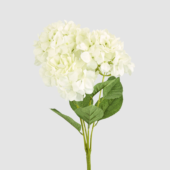 Hydrangea Large Bunch White