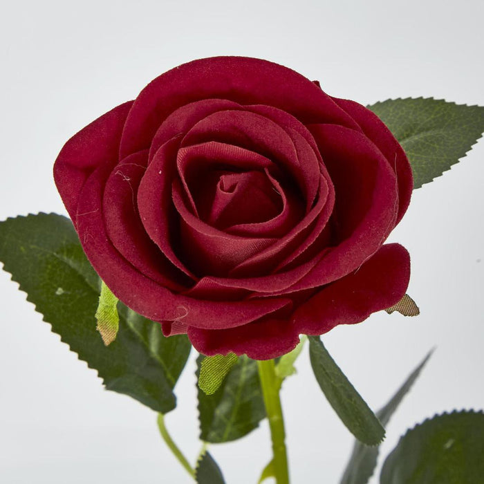 Red Rose Stem 6 pcs