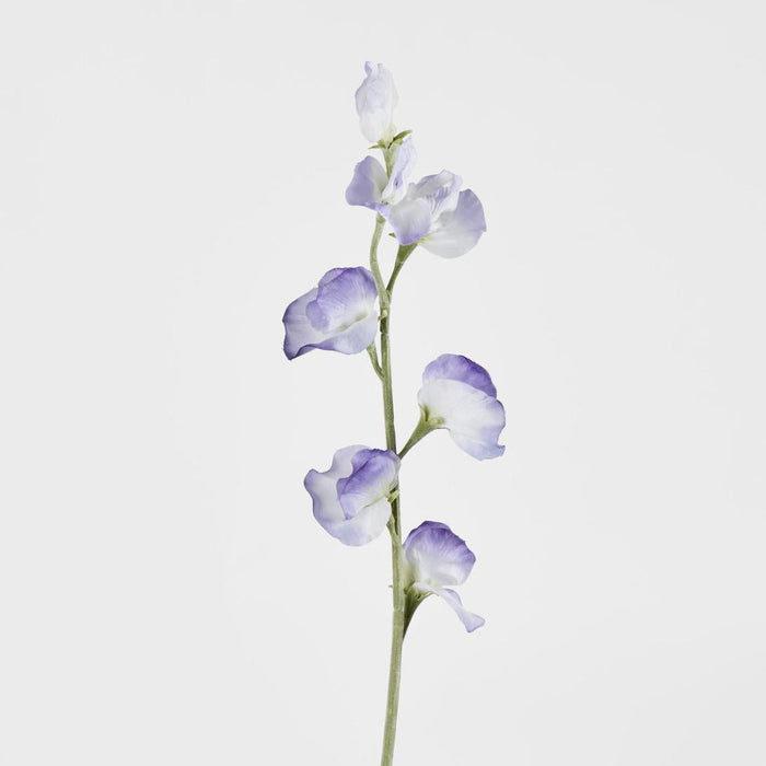 Sweetpea Light Purple 18 pcs