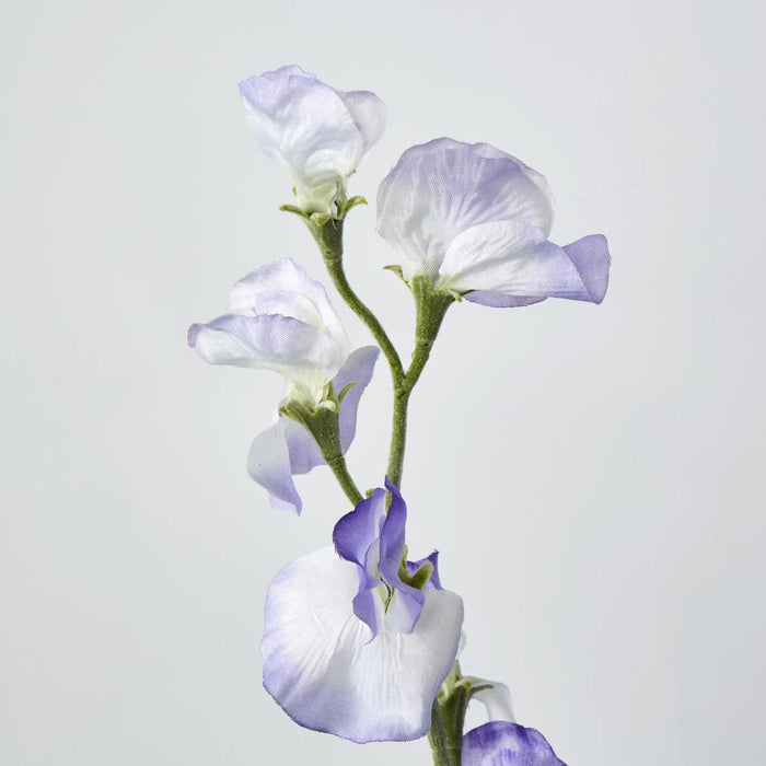 Sweetpea Light Purple 18 pcs