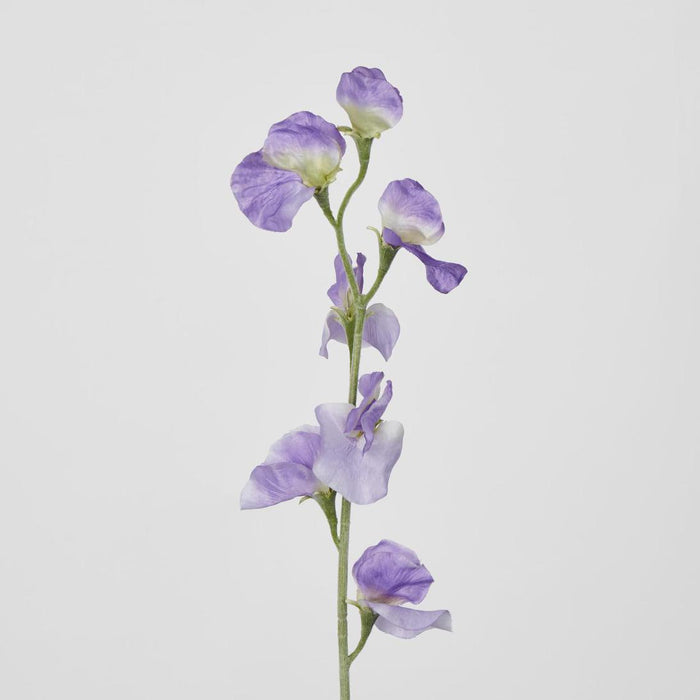 Sweetpea Purple 18 pcs