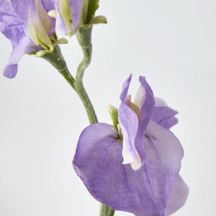 Sweetpea Purple 18 pcs