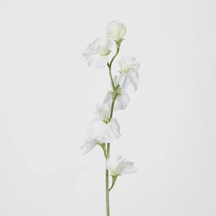 Sweetpea White 18 pcs