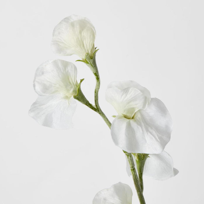 Sweetpea White 18 pcs