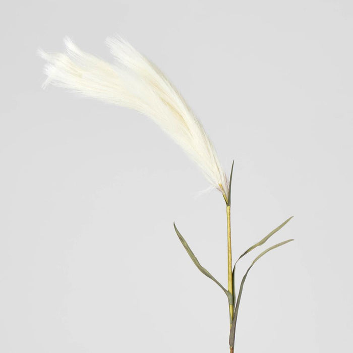 Pampas 3 pcs