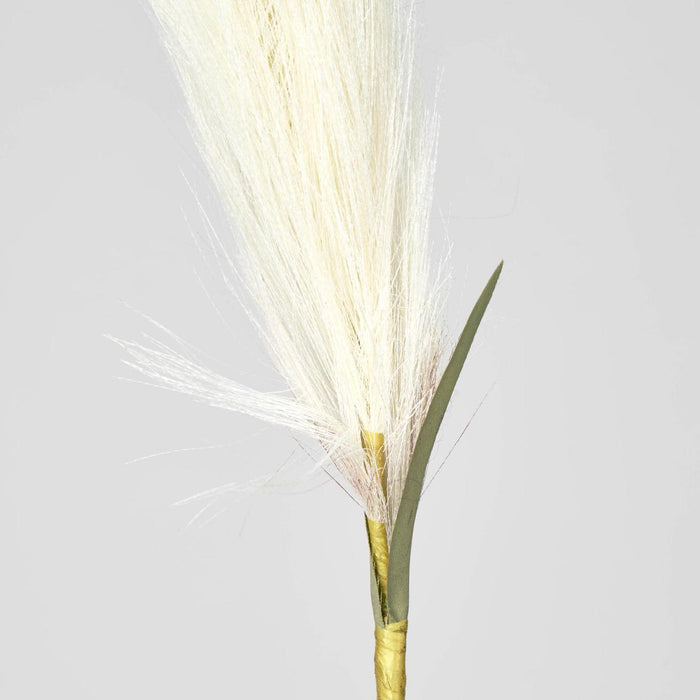 Pampas 3 pcs
