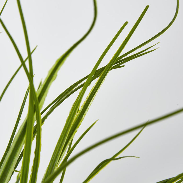 Grass Bush Green set of 2