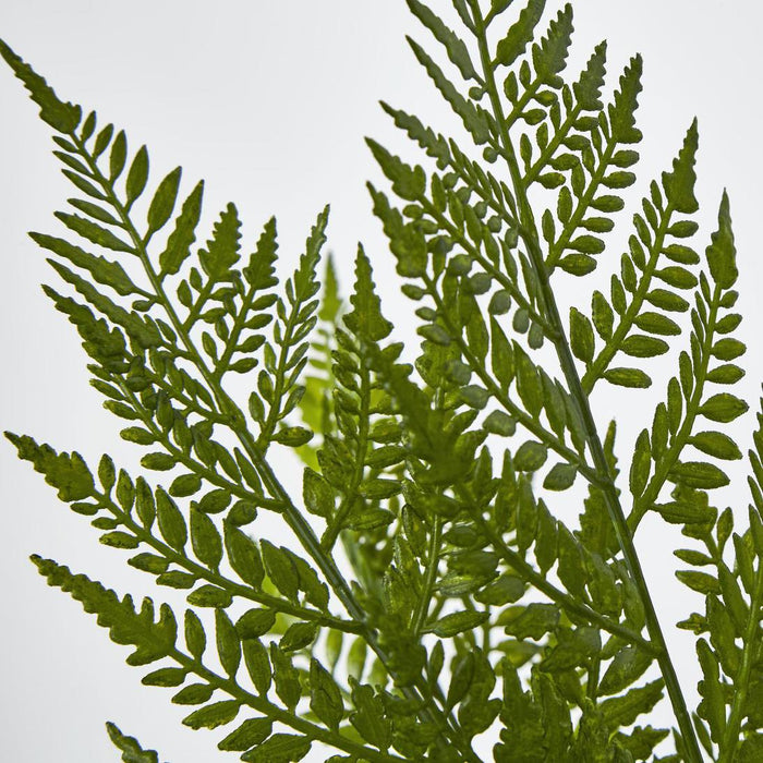 Fern Bush Green 2 pcs